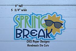 Handmade Paper Die Cut SPRING BREAK TITLE Scrapbook Page Embellishment-